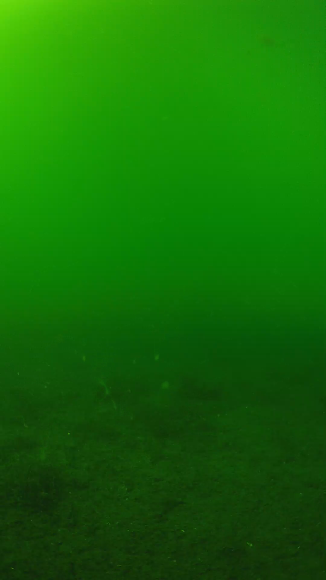 lander_ipcam_20240620150541.png
