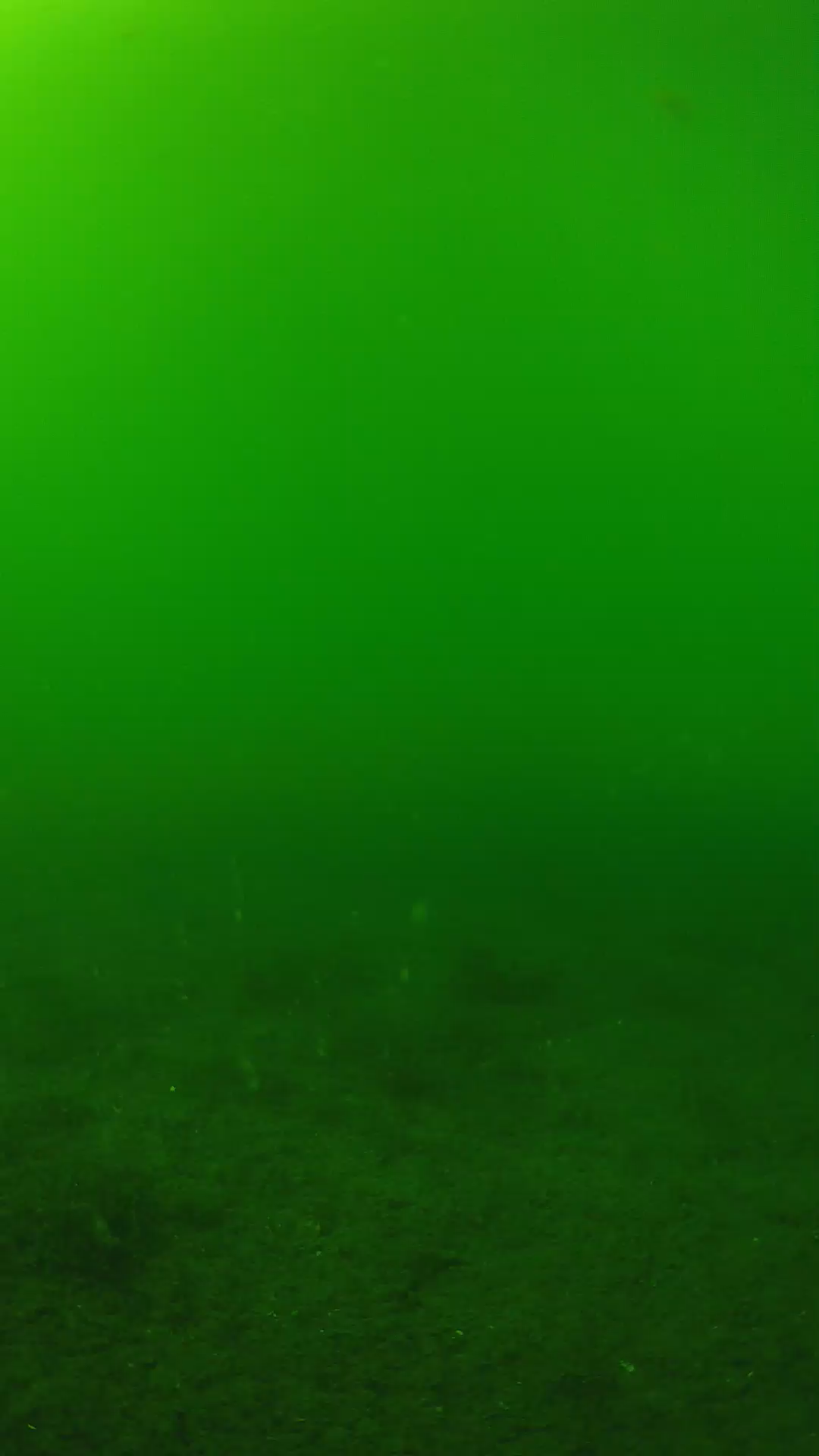 lander_ipcam_20240620150542.png