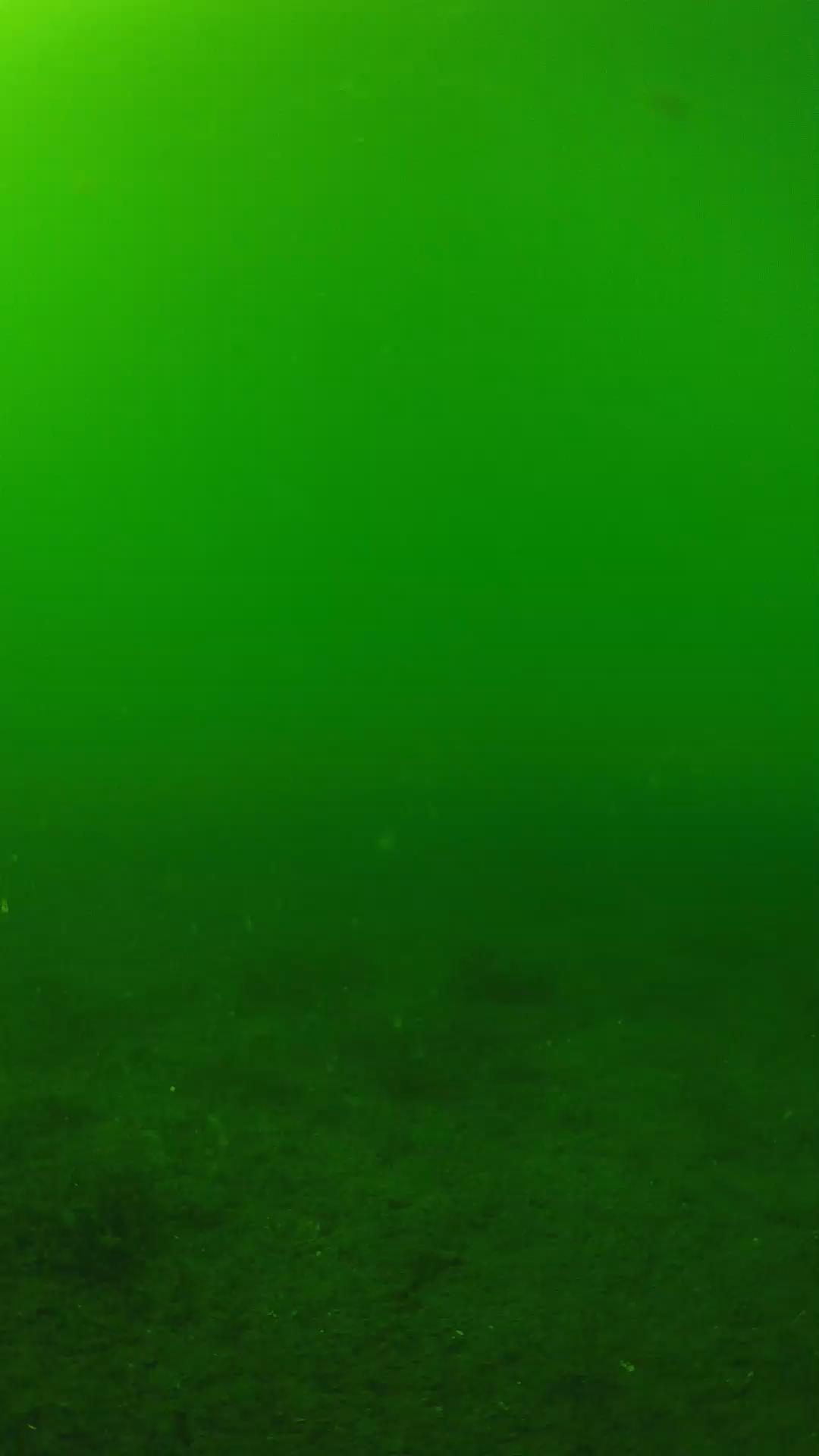 lander_ipcam_20240620150543.png