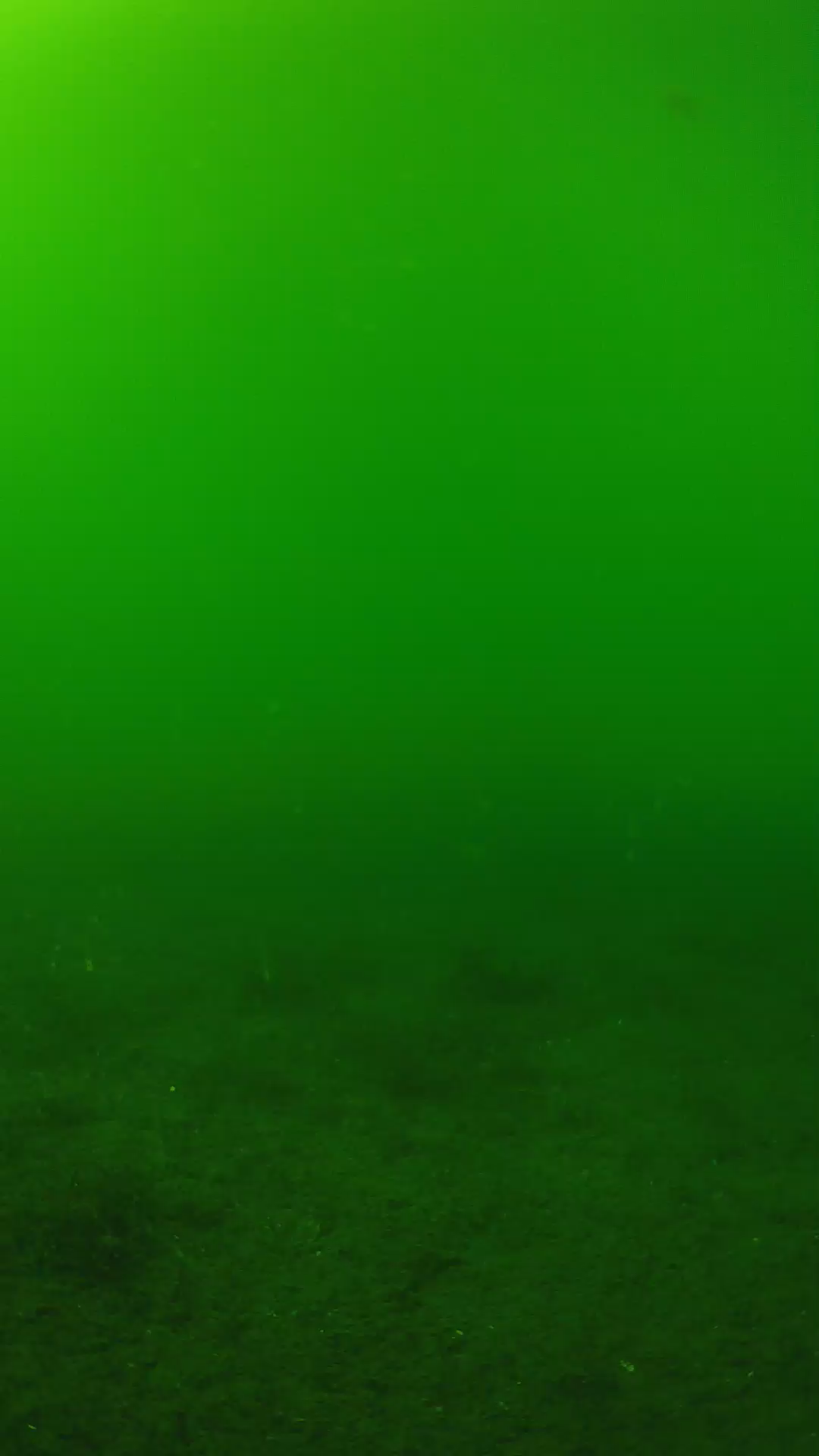 lander_ipcam_20240620150546.png