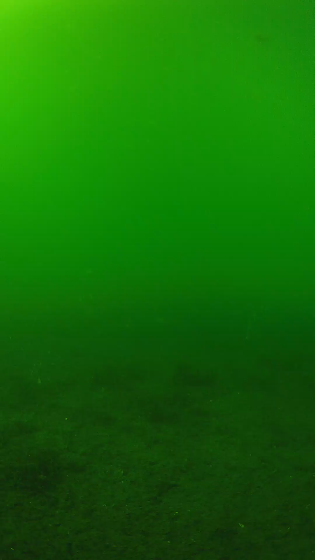 lander_ipcam_20240620150547.png