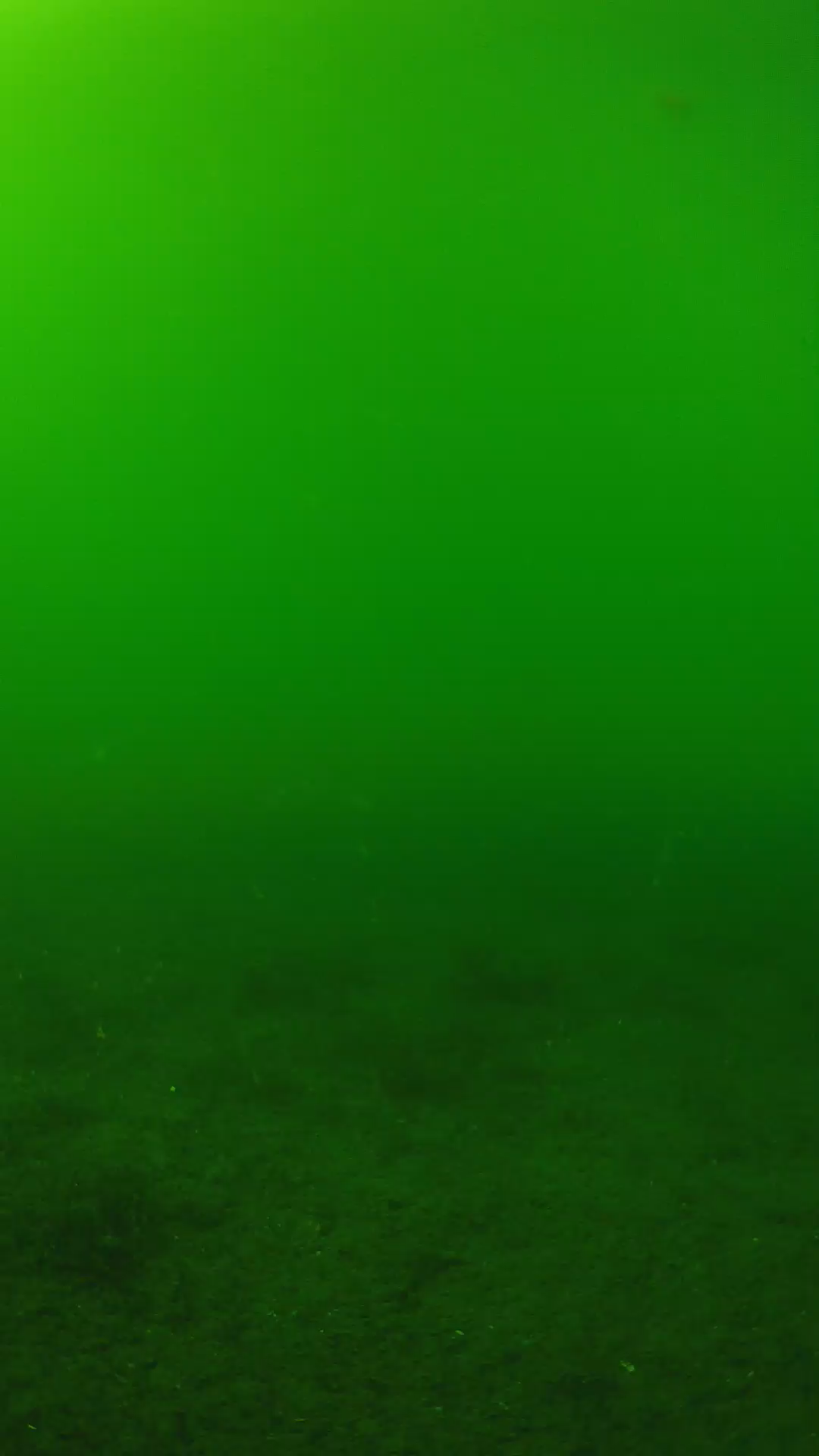 lander_ipcam_20240620150549.png