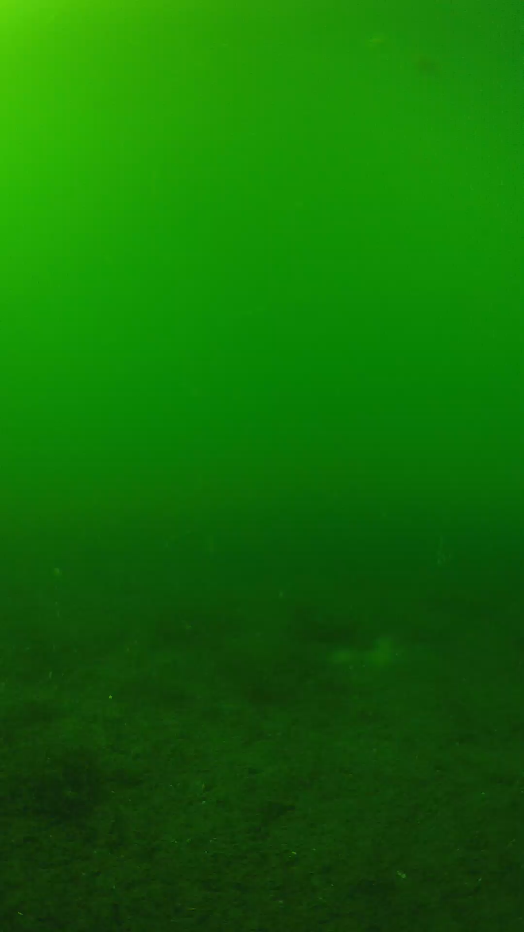 lander_ipcam_20240620150551.png