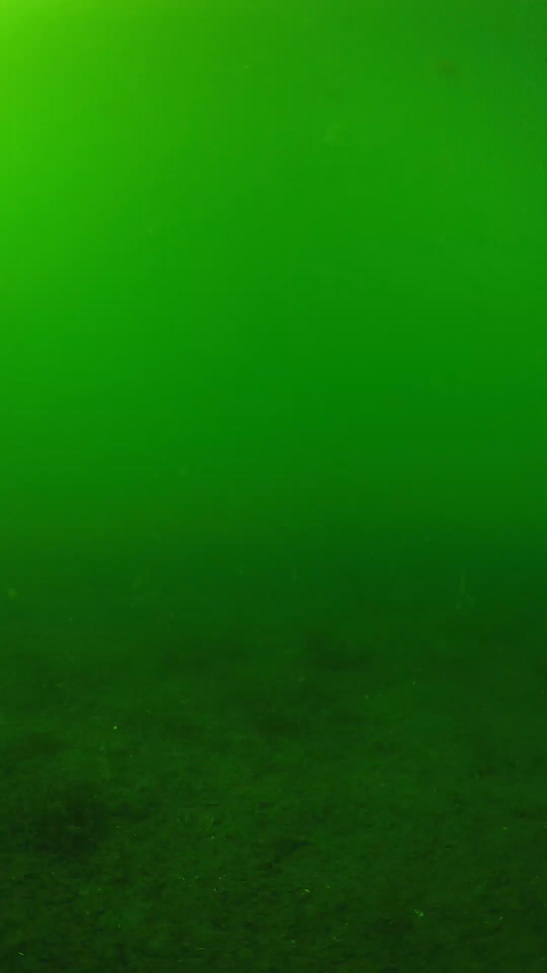 lander_ipcam_20240620150553.png