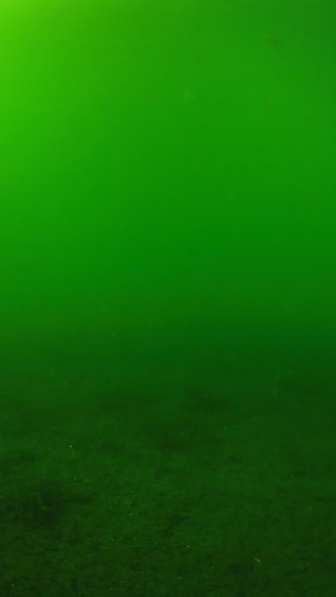 lander_ipcam_20240620150554.png