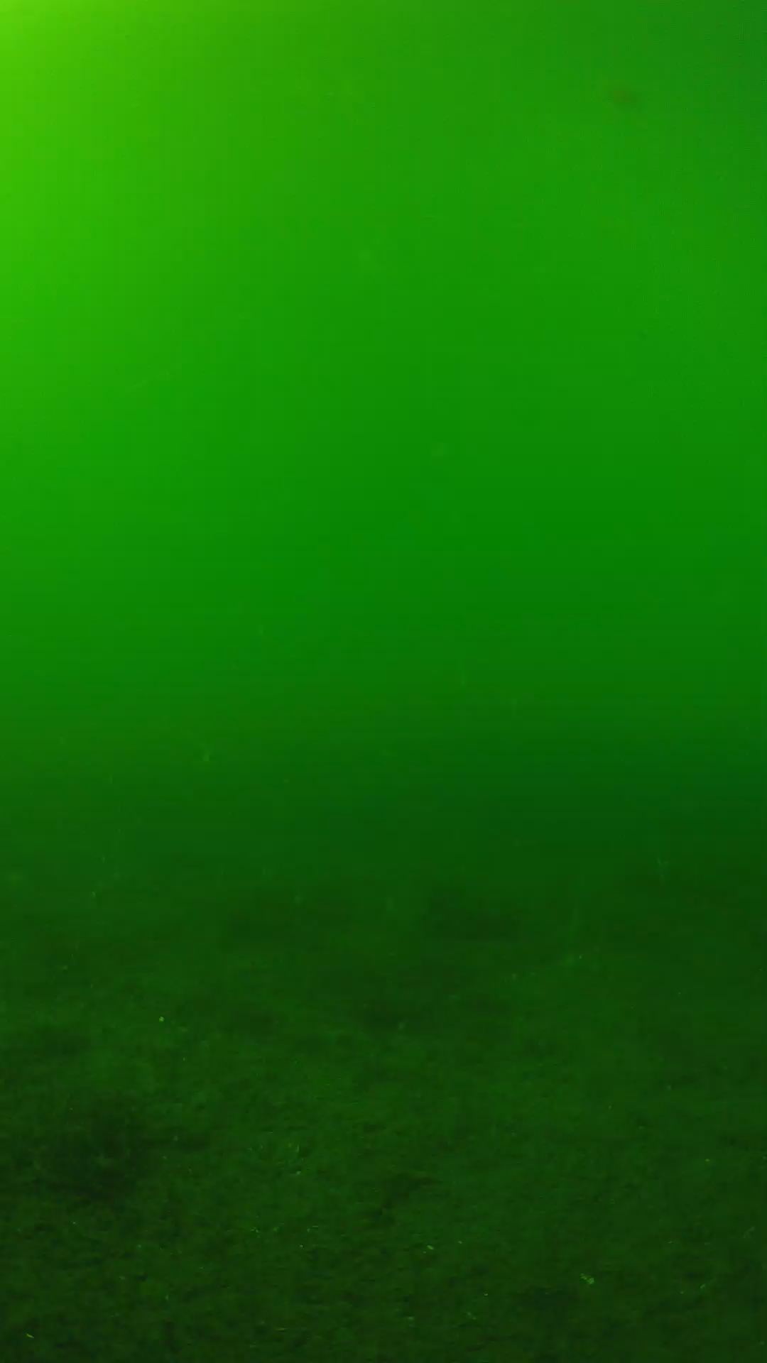 lander_ipcam_20240620150555.png