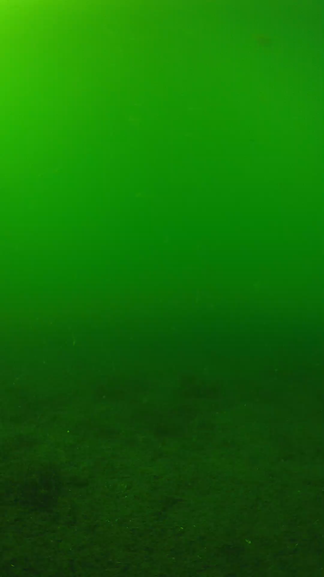 lander_ipcam_20240620150556.png
