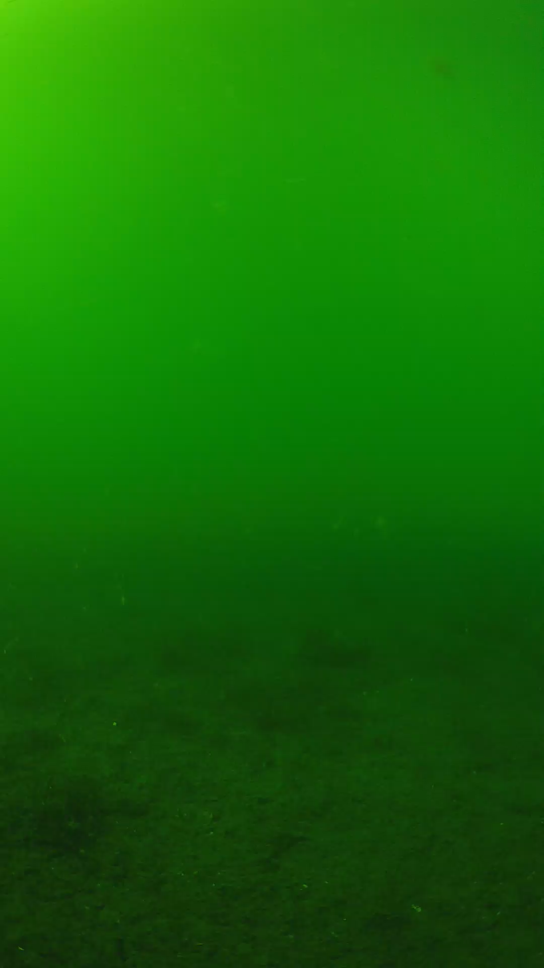 lander_ipcam_20240620150557.png