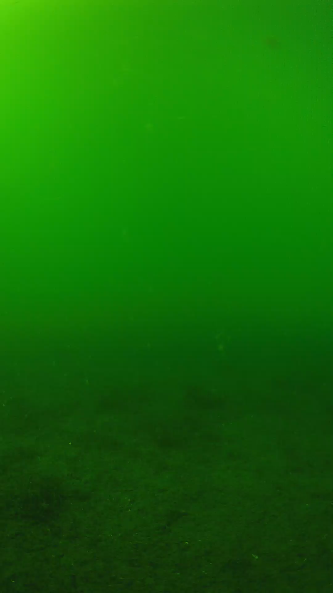 lander_ipcam_20240620150558.png