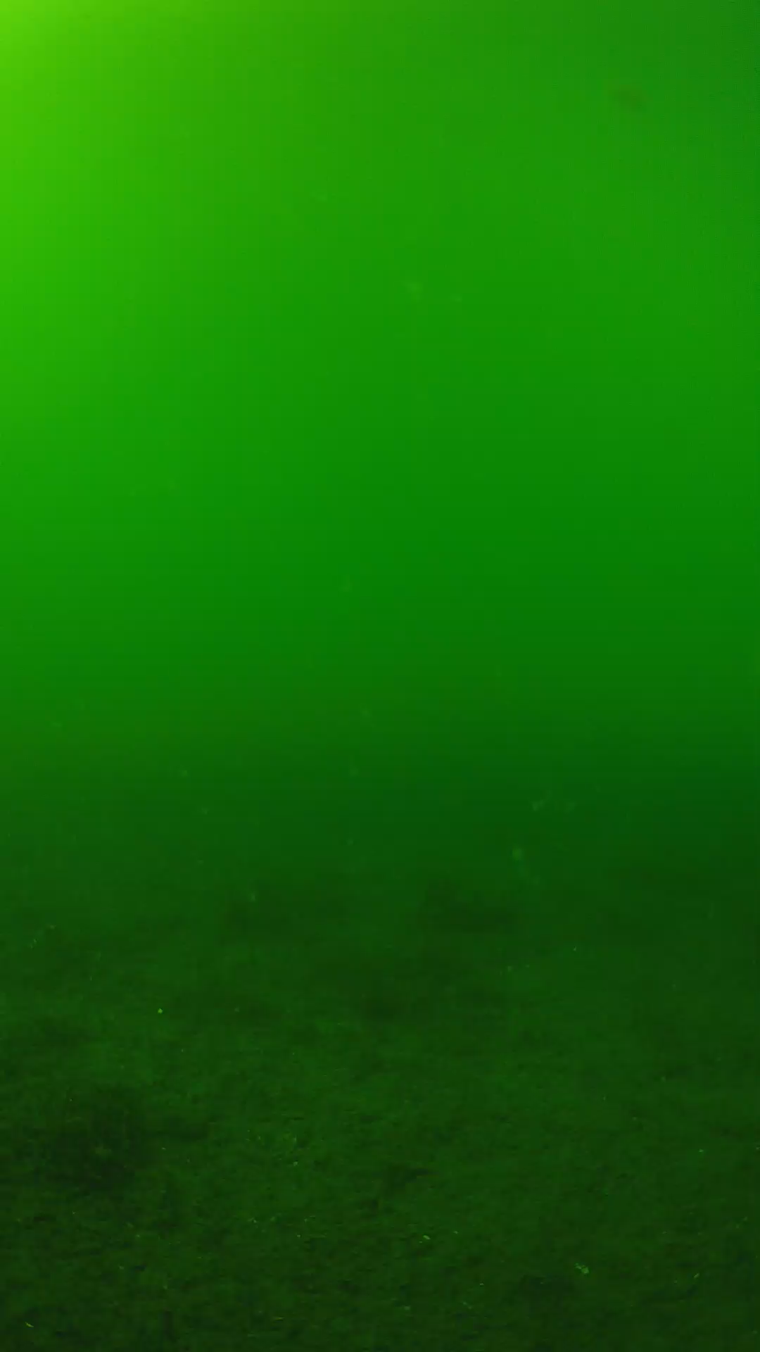 lander_ipcam_20240620150559.png