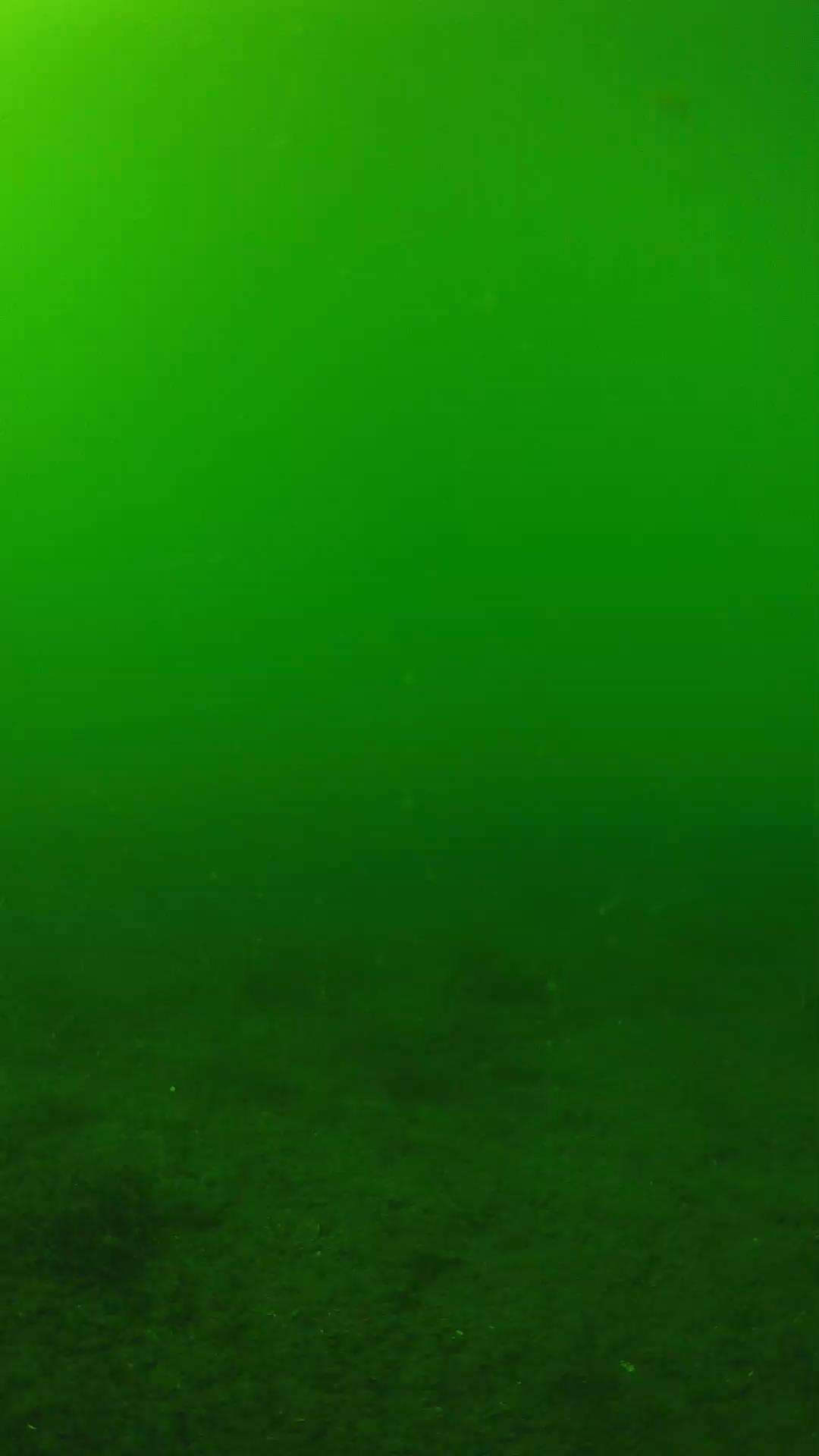lander_ipcam_20240620150600.png
