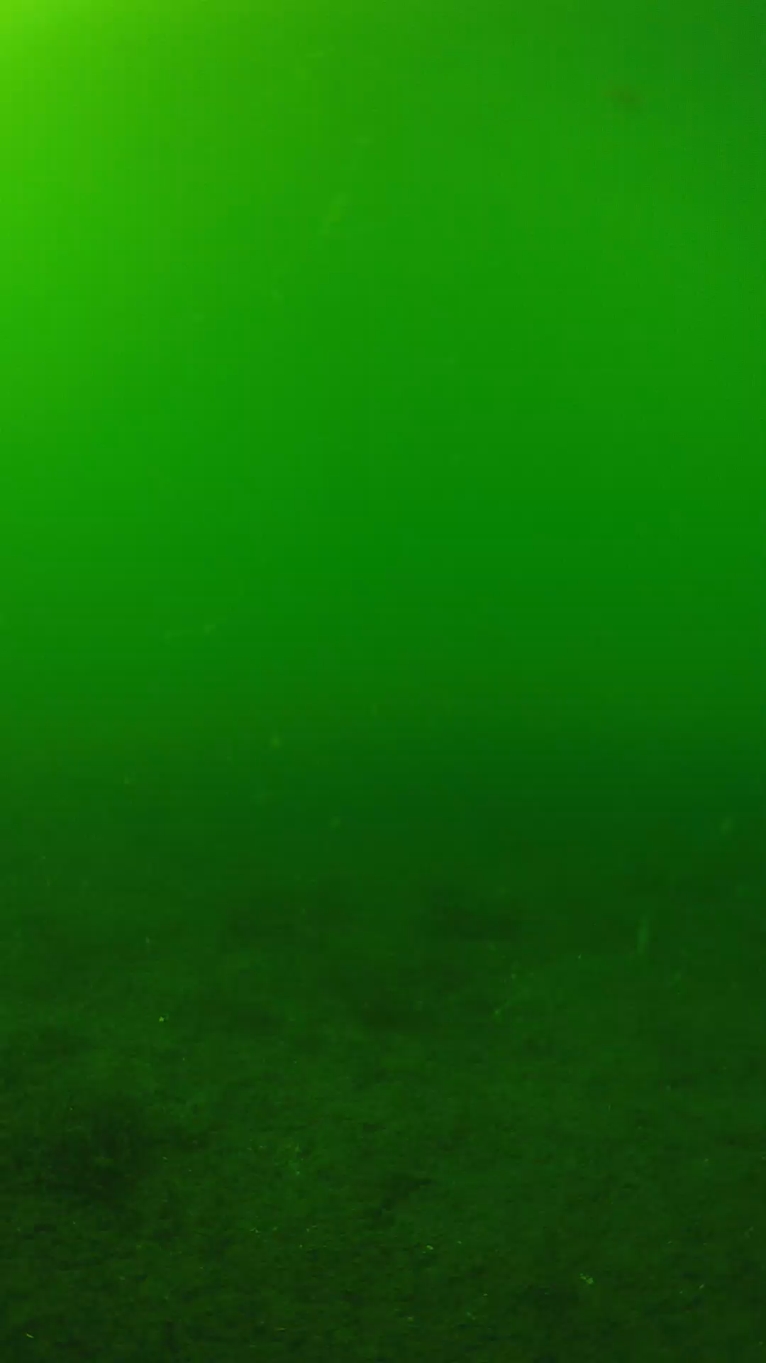 lander_ipcam_20240620150603.png