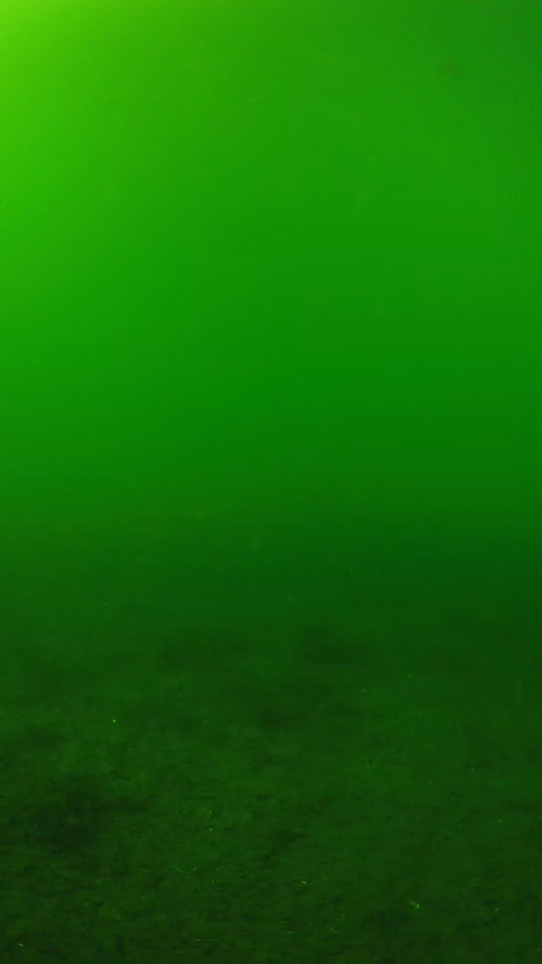 lander_ipcam_20240620150605.png