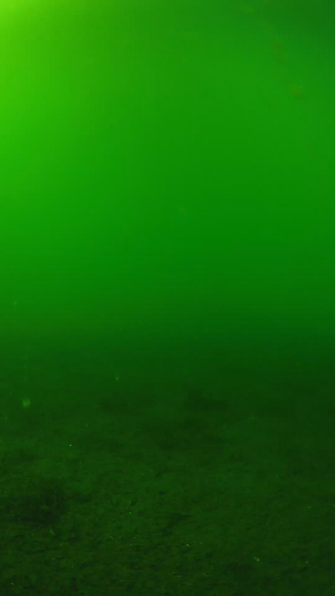 lander_ipcam_20240620153541.png