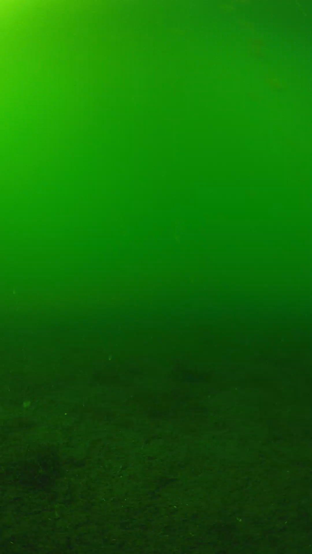 lander_ipcam_20240620153542.png