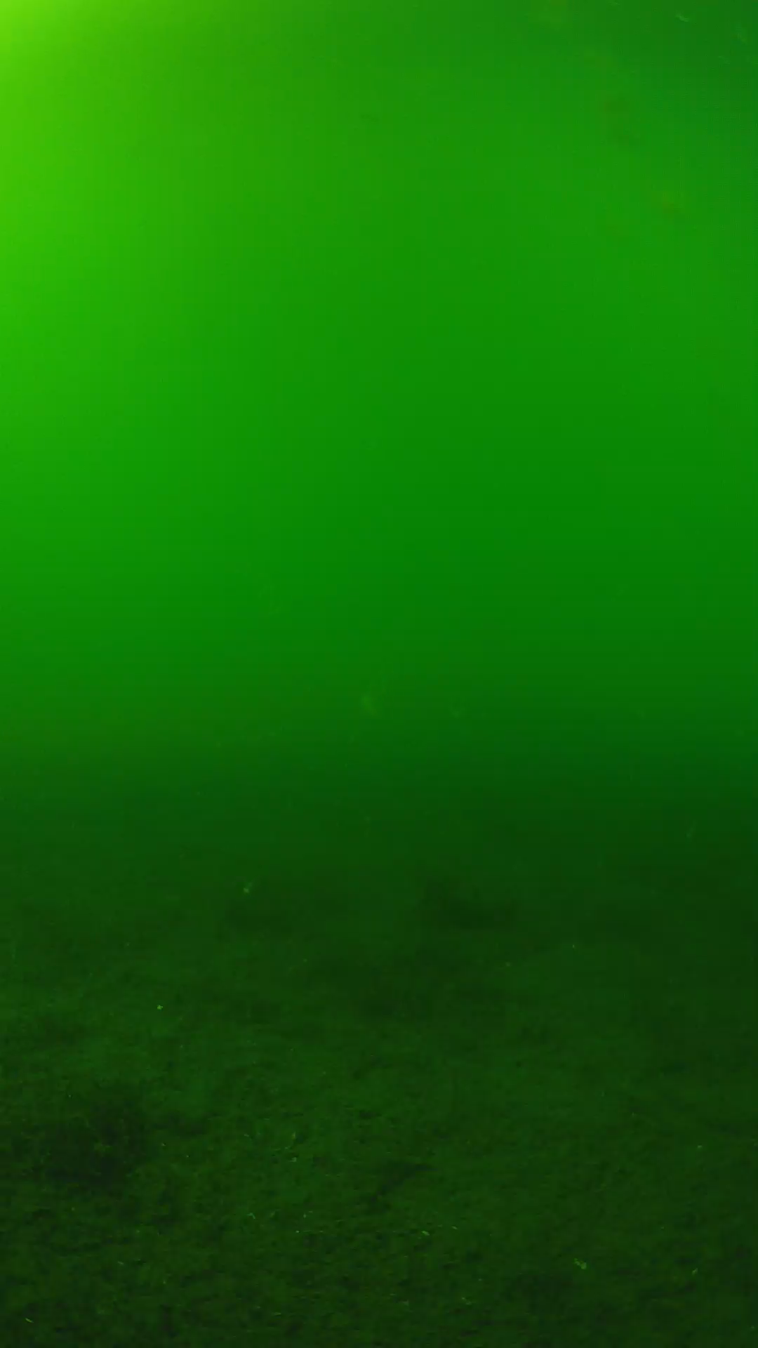 lander_ipcam_20240620153543.png