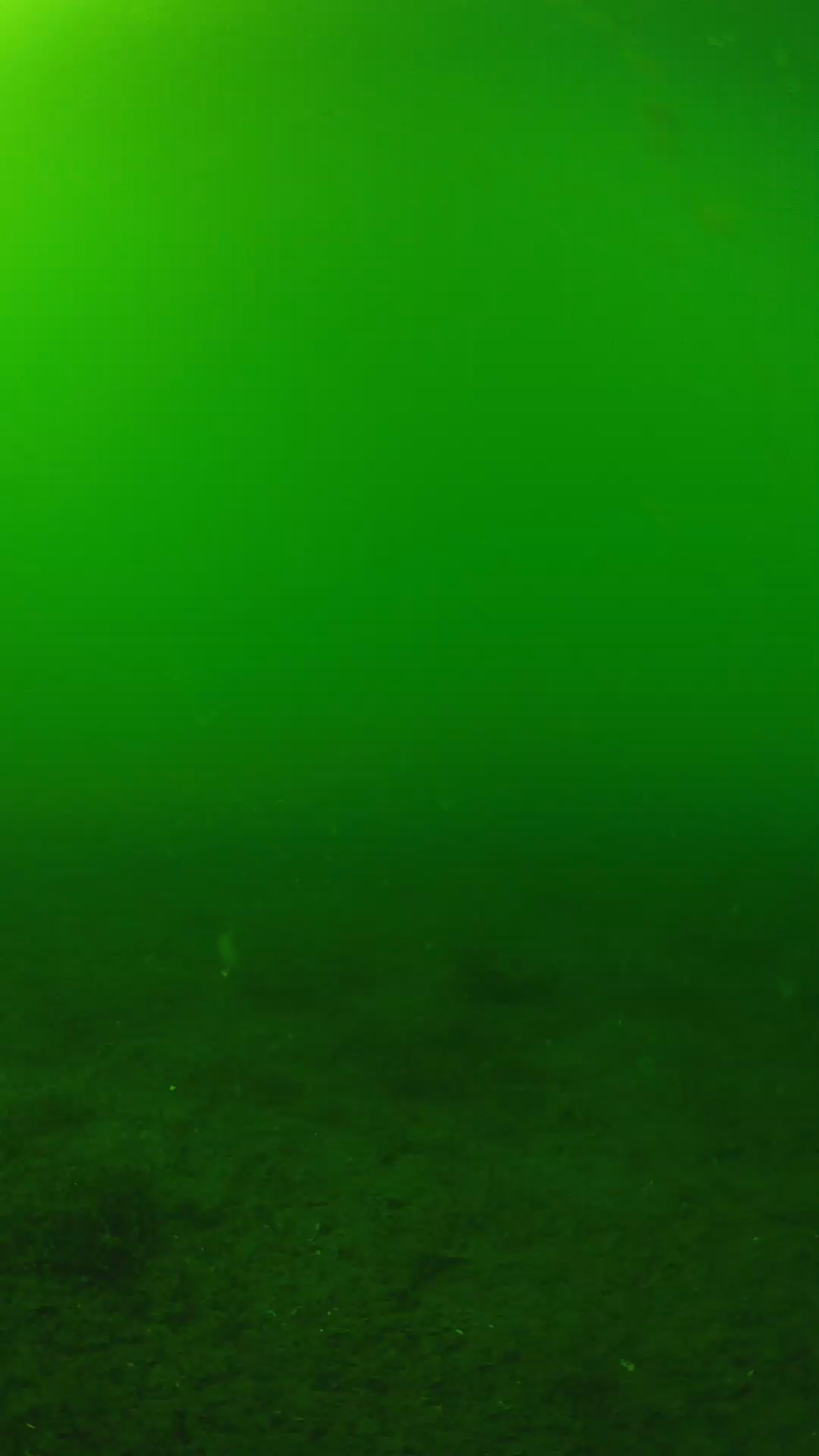 lander_ipcam_20240620153544.png
