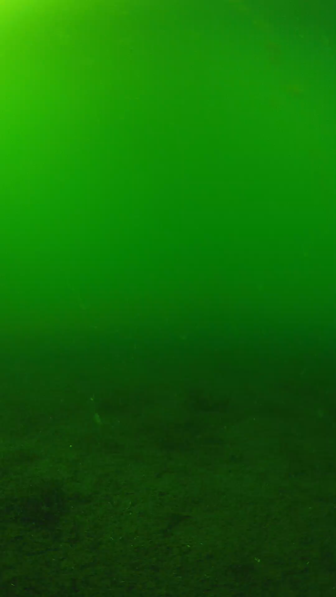 lander_ipcam_20240620153545.png