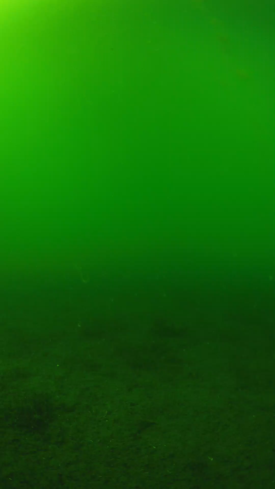 lander_ipcam_20240620153548.png