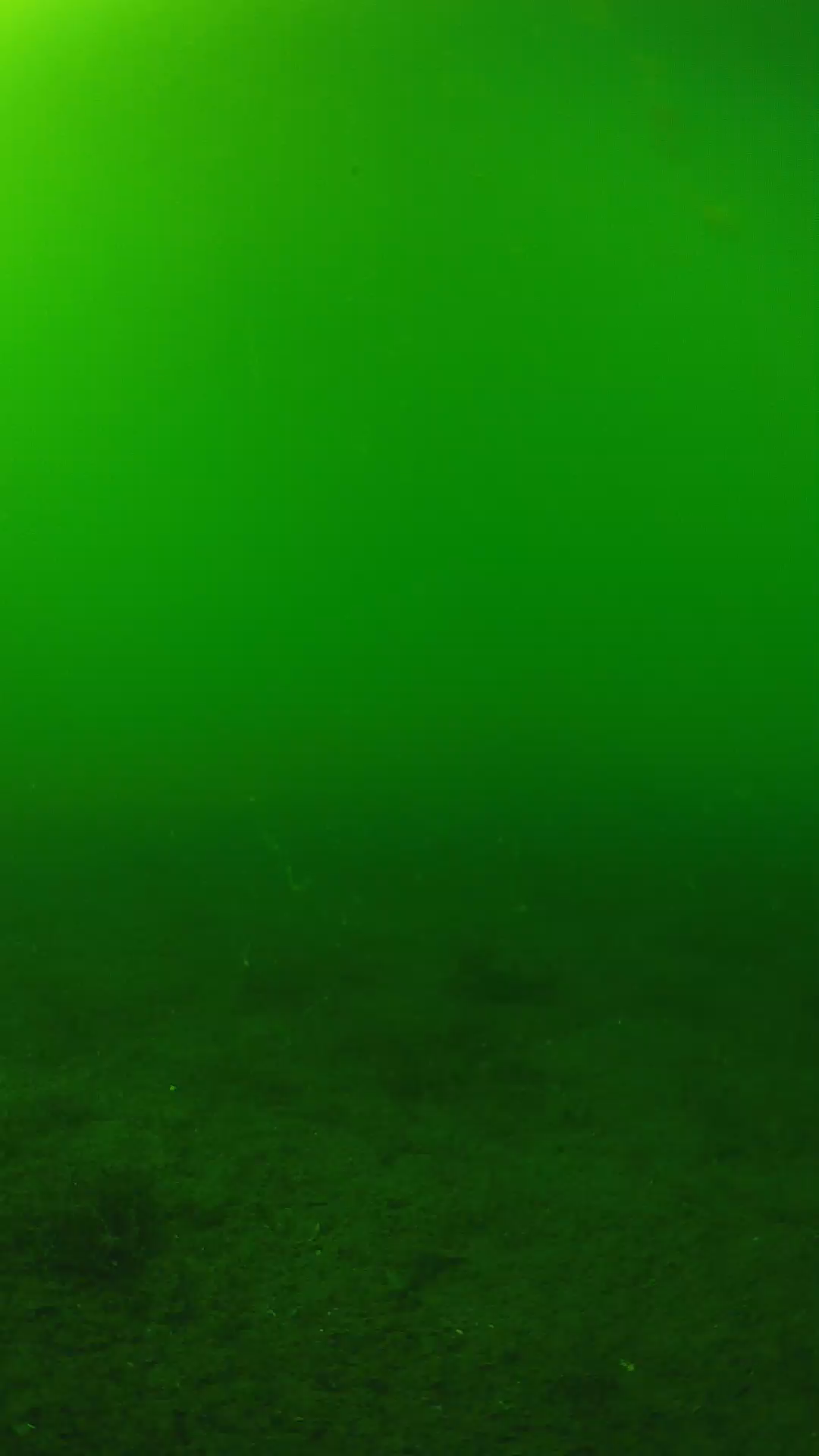 lander_ipcam_20240620153550.png
