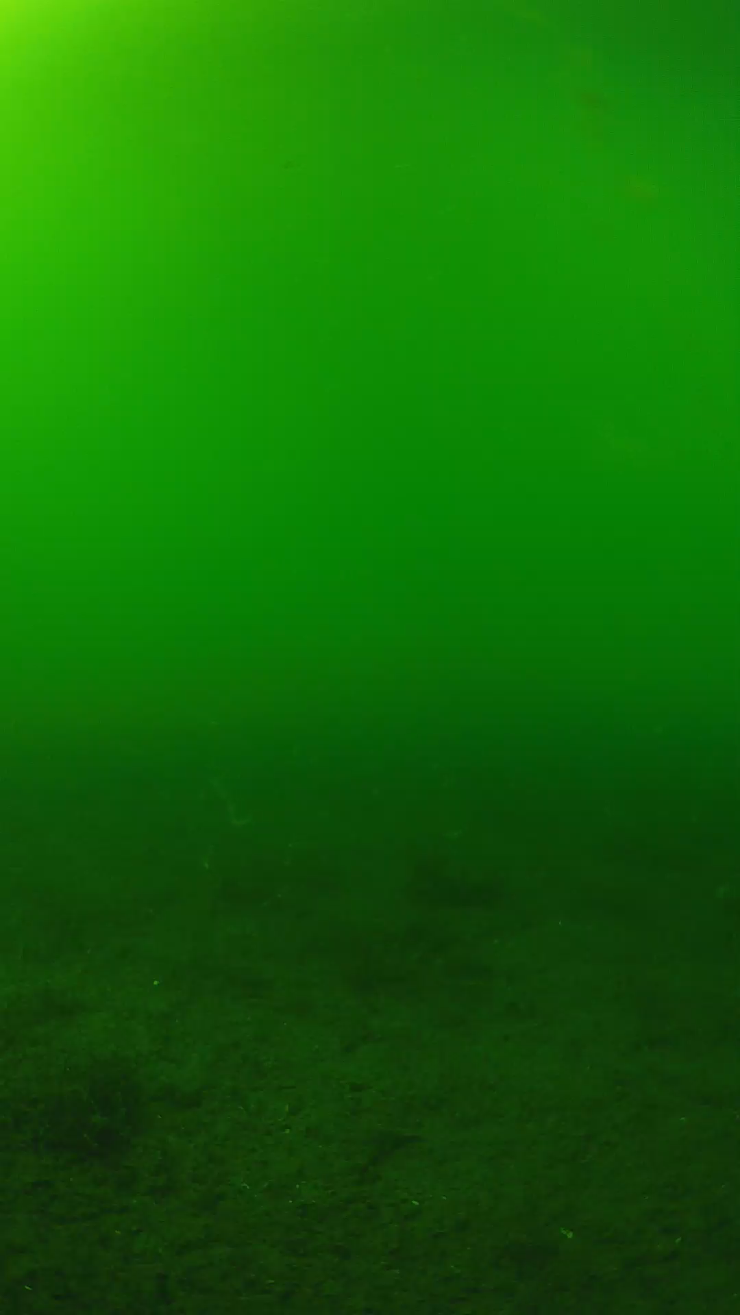 lander_ipcam_20240620153551.png