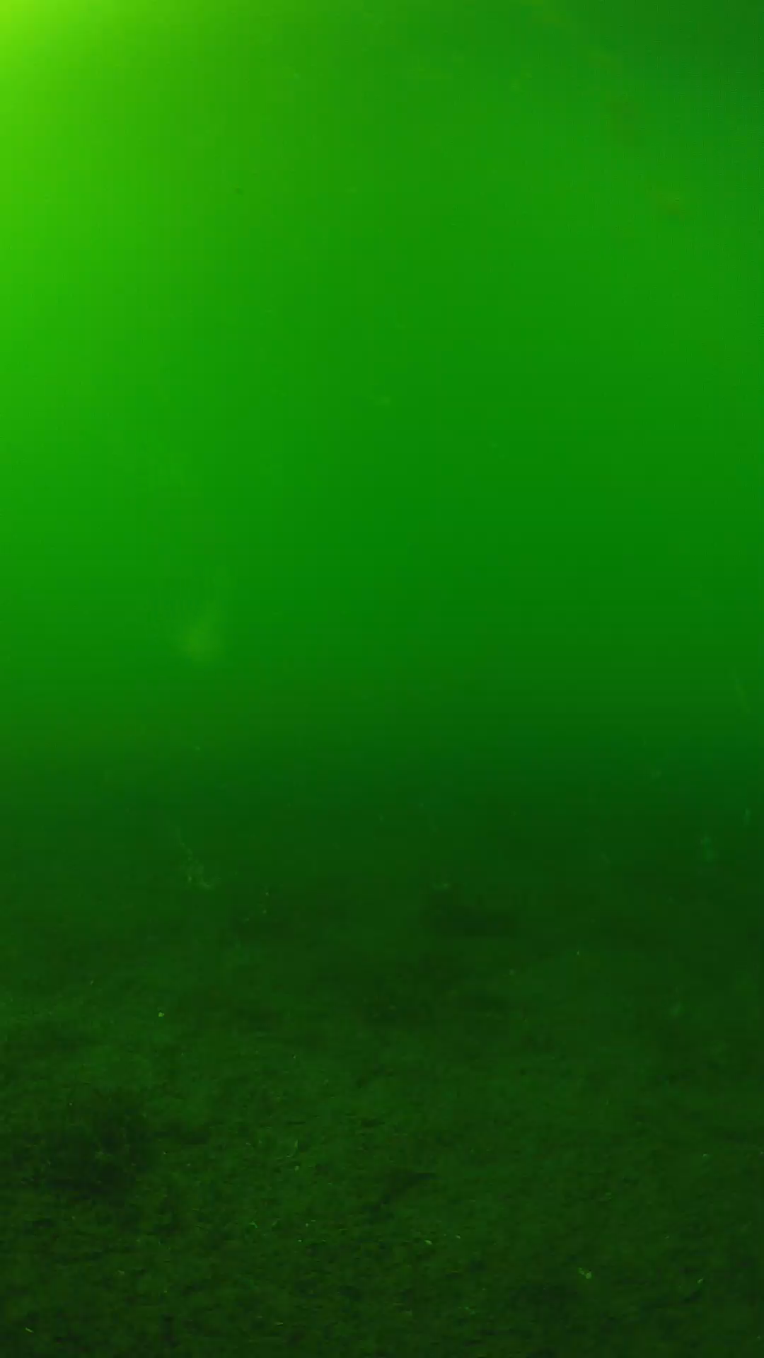 lander_ipcam_20240620153553.png