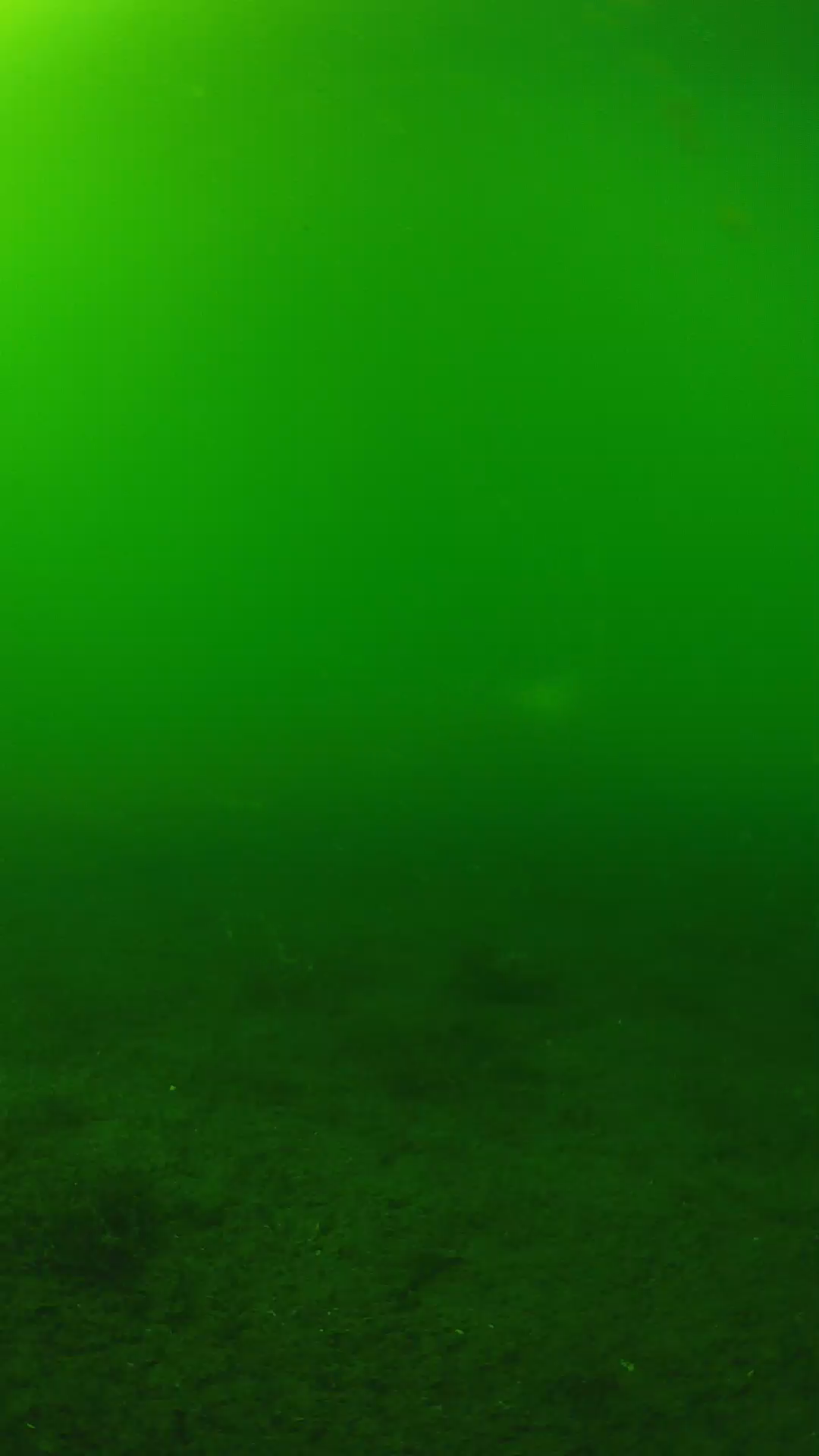 lander_ipcam_20240620153554.png