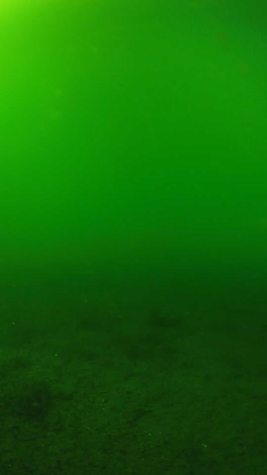 lander_ipcam_20240620153555.png