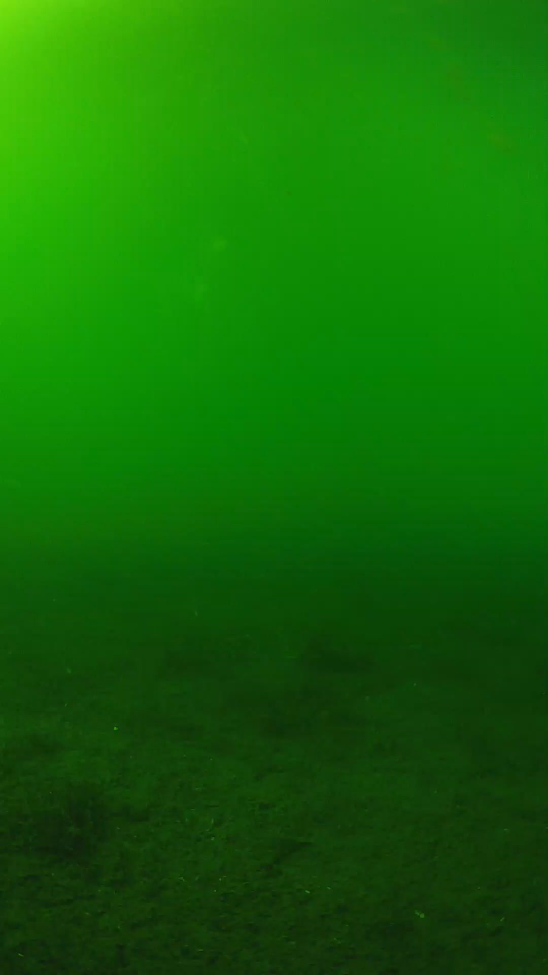 lander_ipcam_20240620153556.png