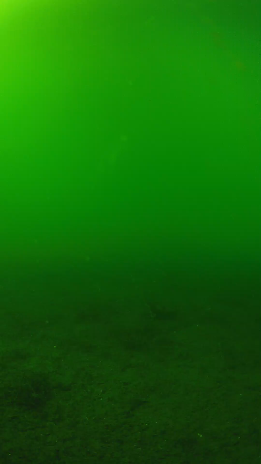 lander_ipcam_20240620153557.png