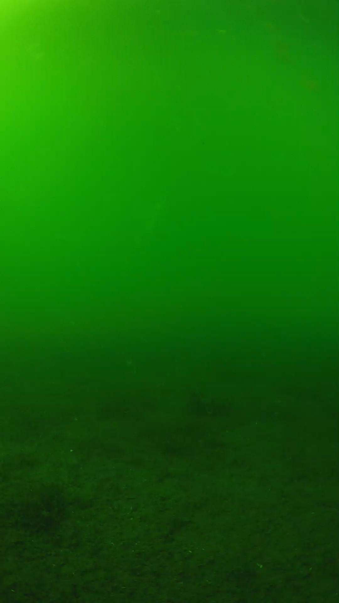 lander_ipcam_20240620153558.png