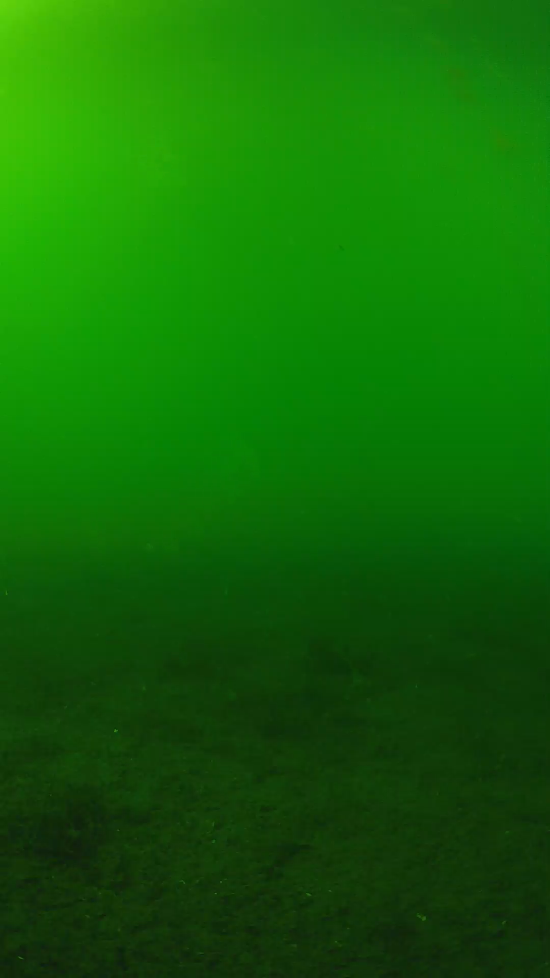 lander_ipcam_20240620153600.png