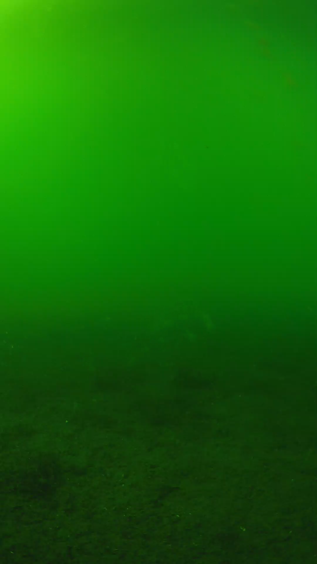 lander_ipcam_20240620153601.png