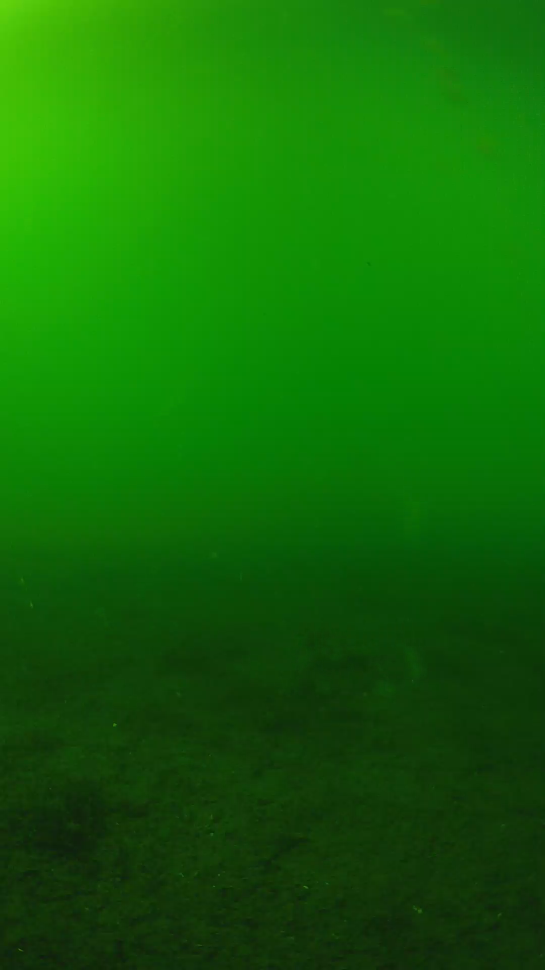 lander_ipcam_20240620153602.png