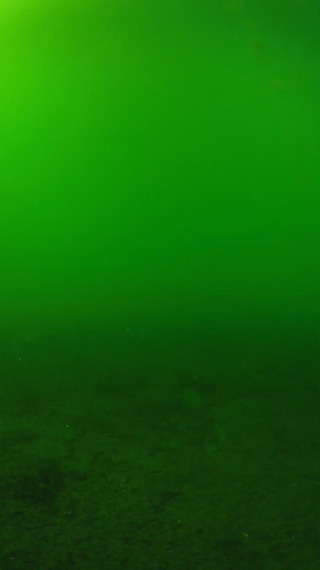 lander_ipcam_20240620153603.png