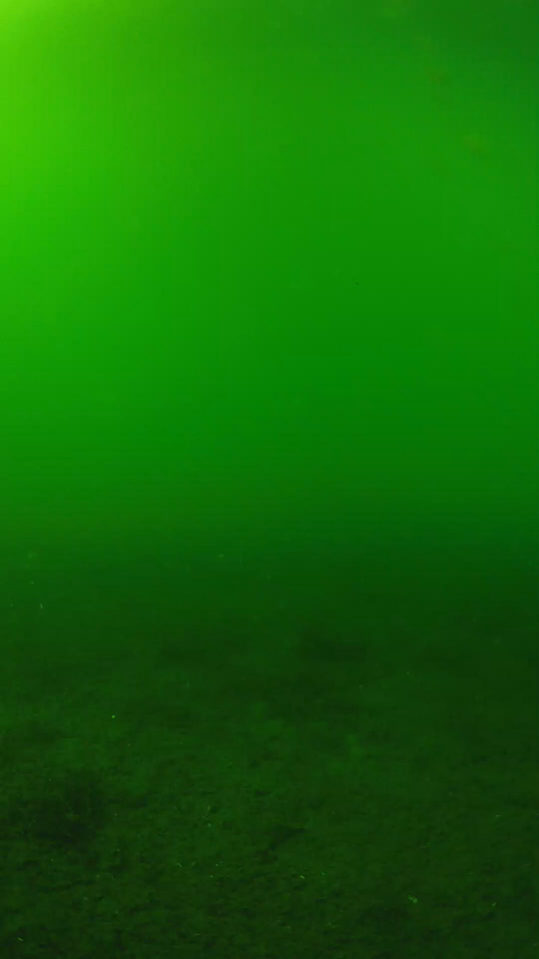 lander_ipcam_20240620153604.png