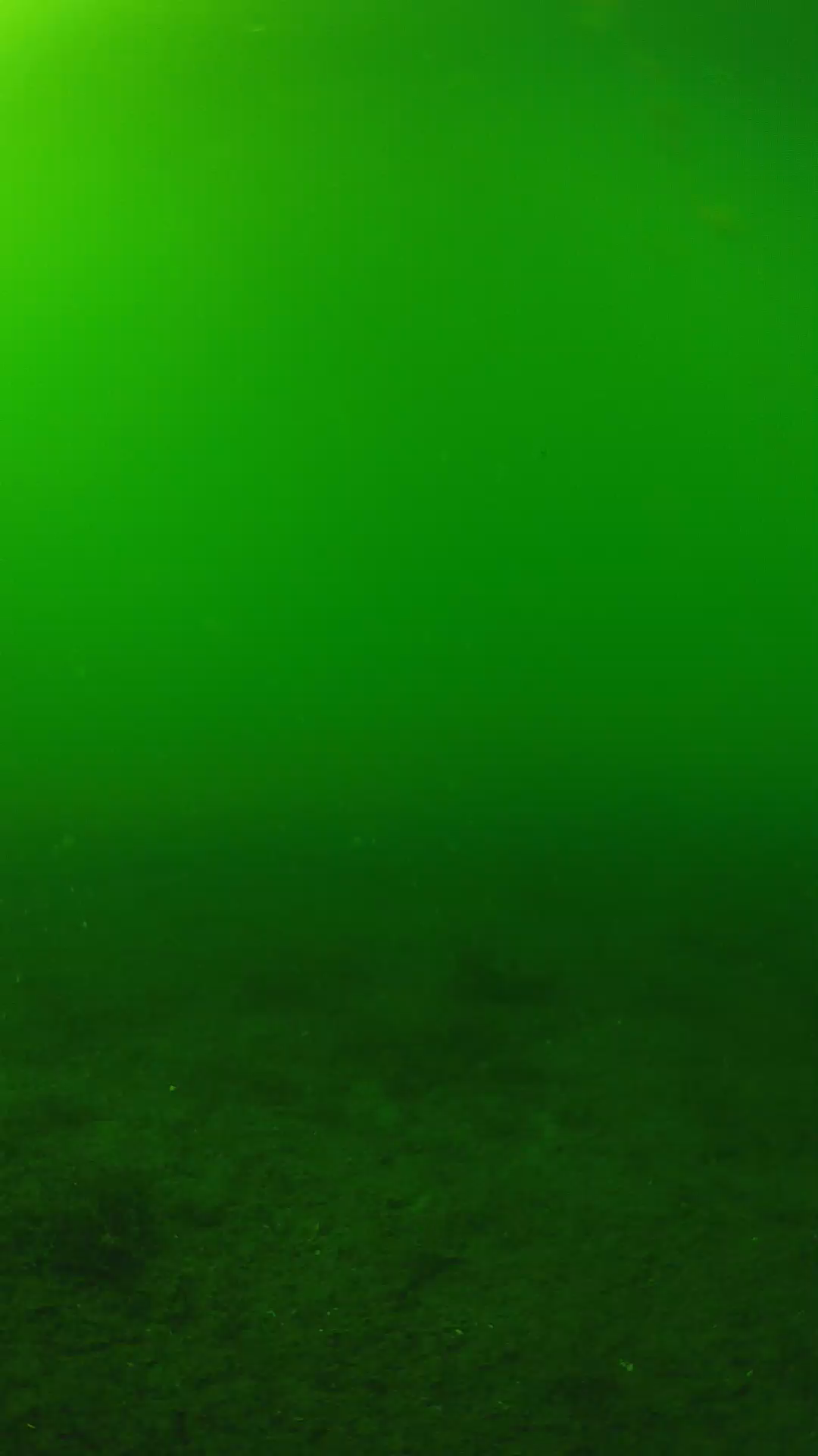 lander_ipcam_20240620153605.png