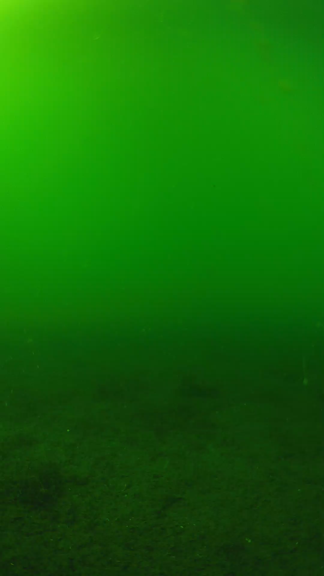 lander_ipcam_20240620153606.png