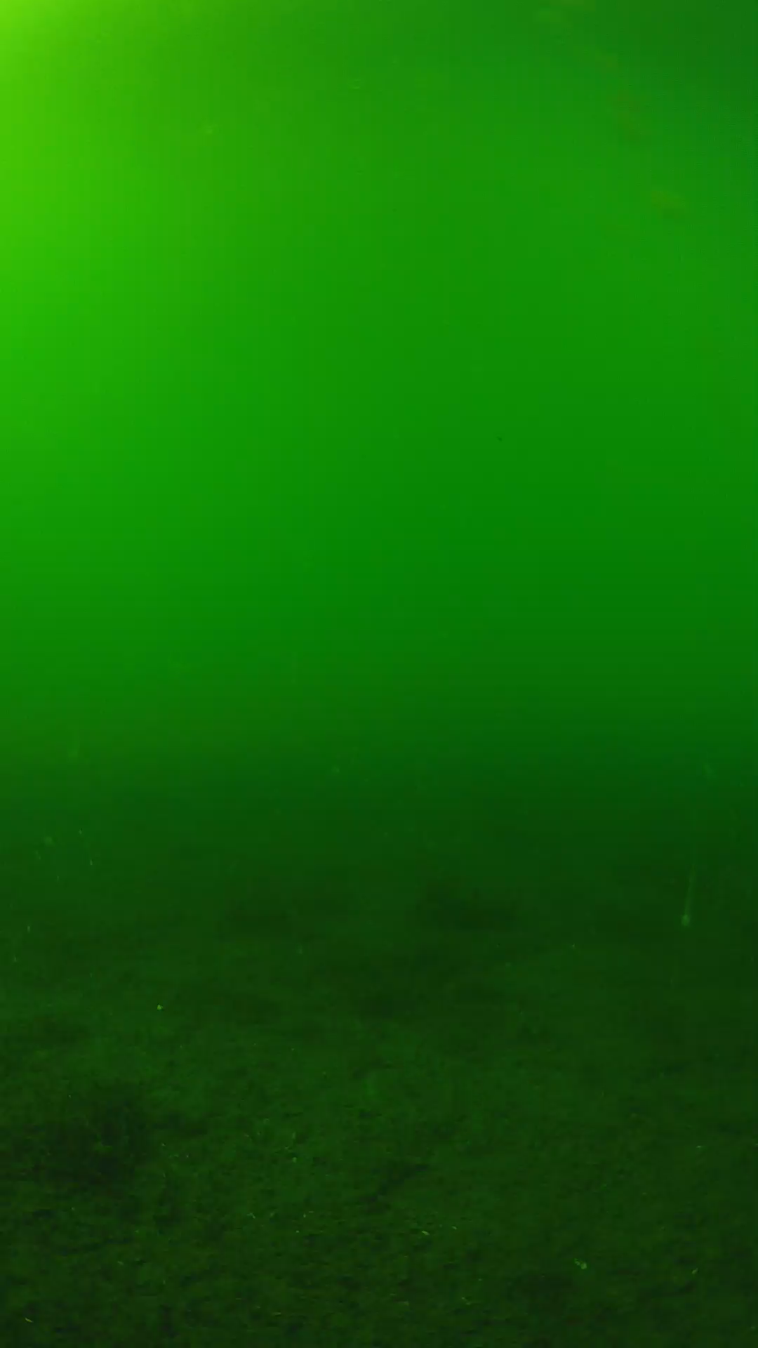 lander_ipcam_20240620153607.png