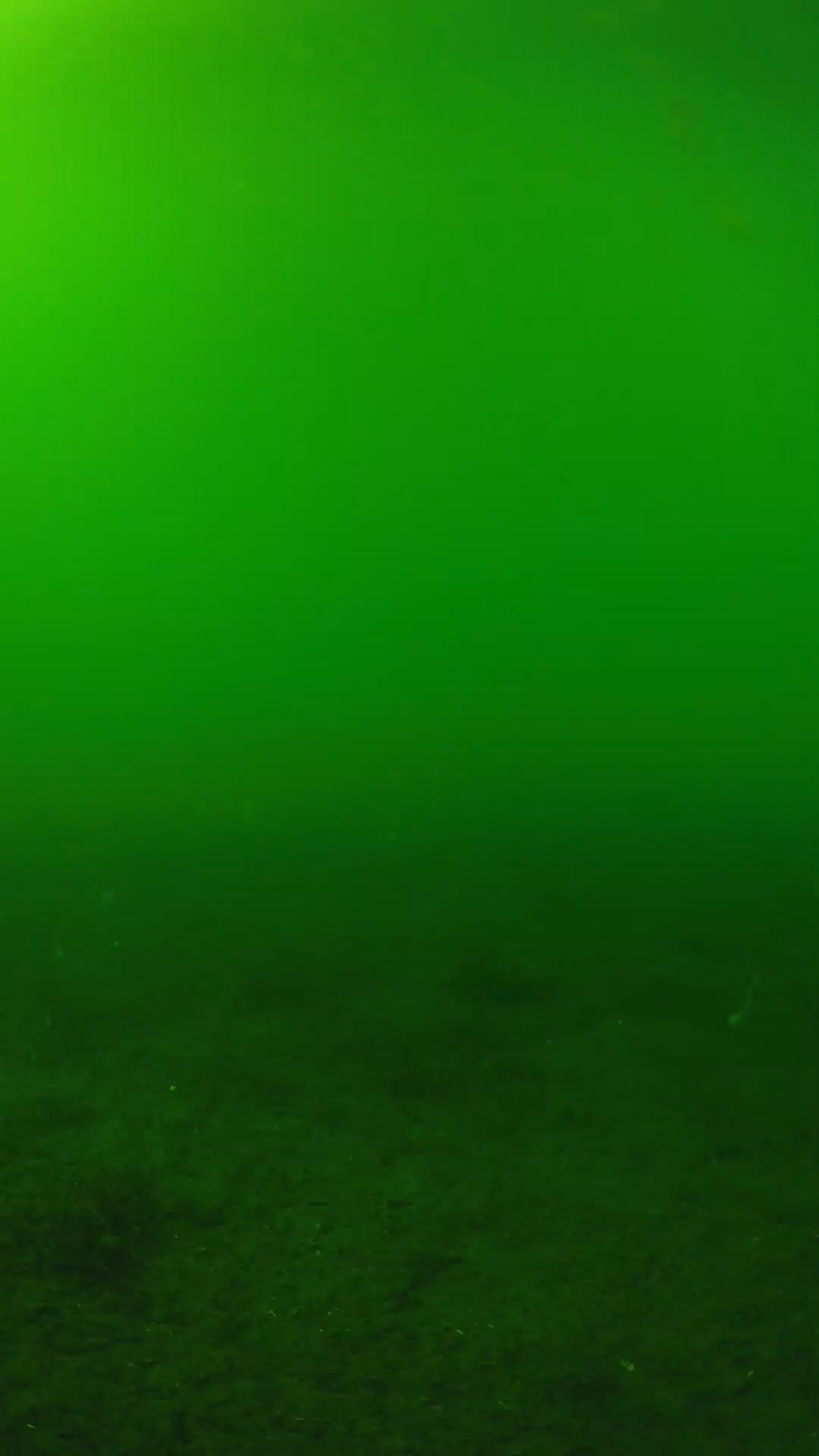lander_ipcam_20240620153608.png