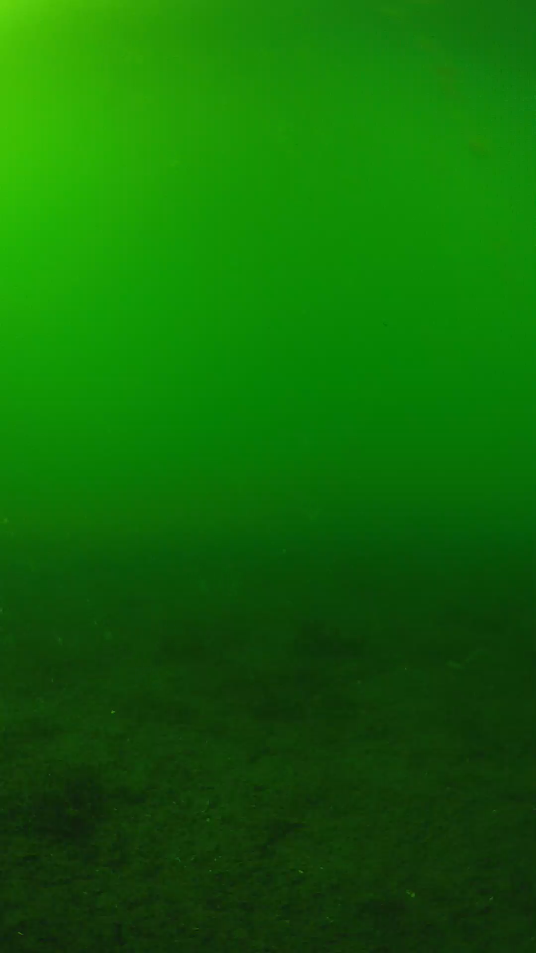 lander_ipcam_20240620153609.png