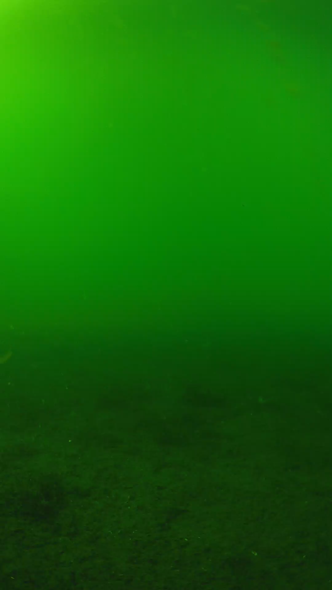 lander_ipcam_20240620153610.png