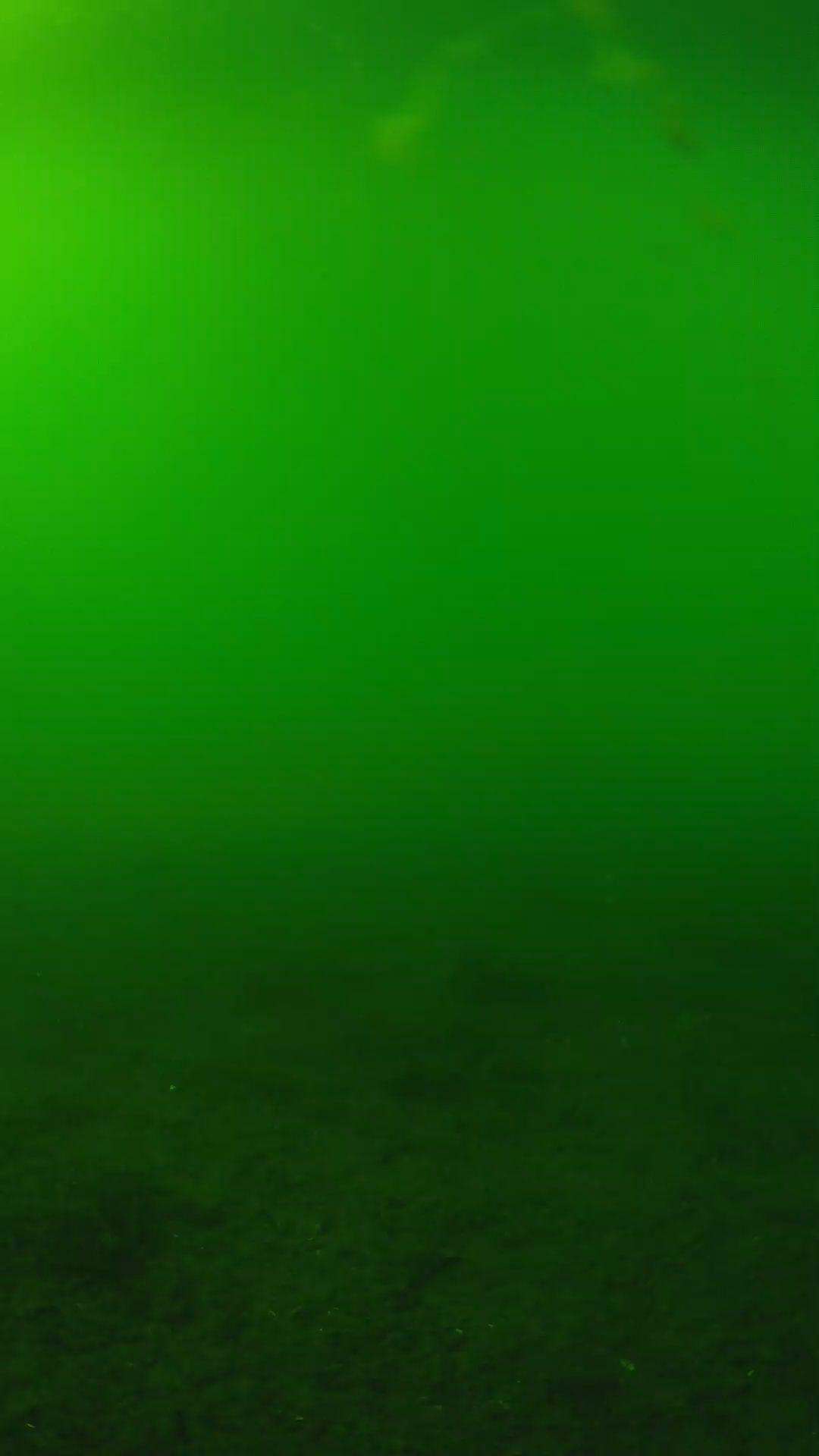 lander_ipcam_20240620160544.png