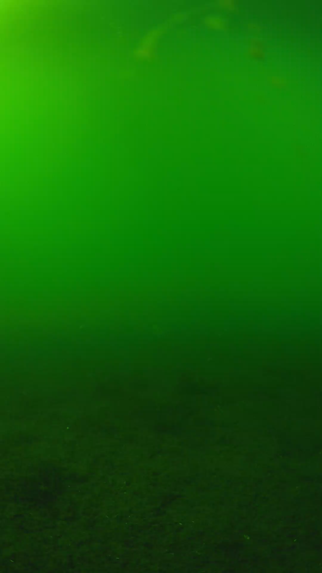 lander_ipcam_20240620160548.png
