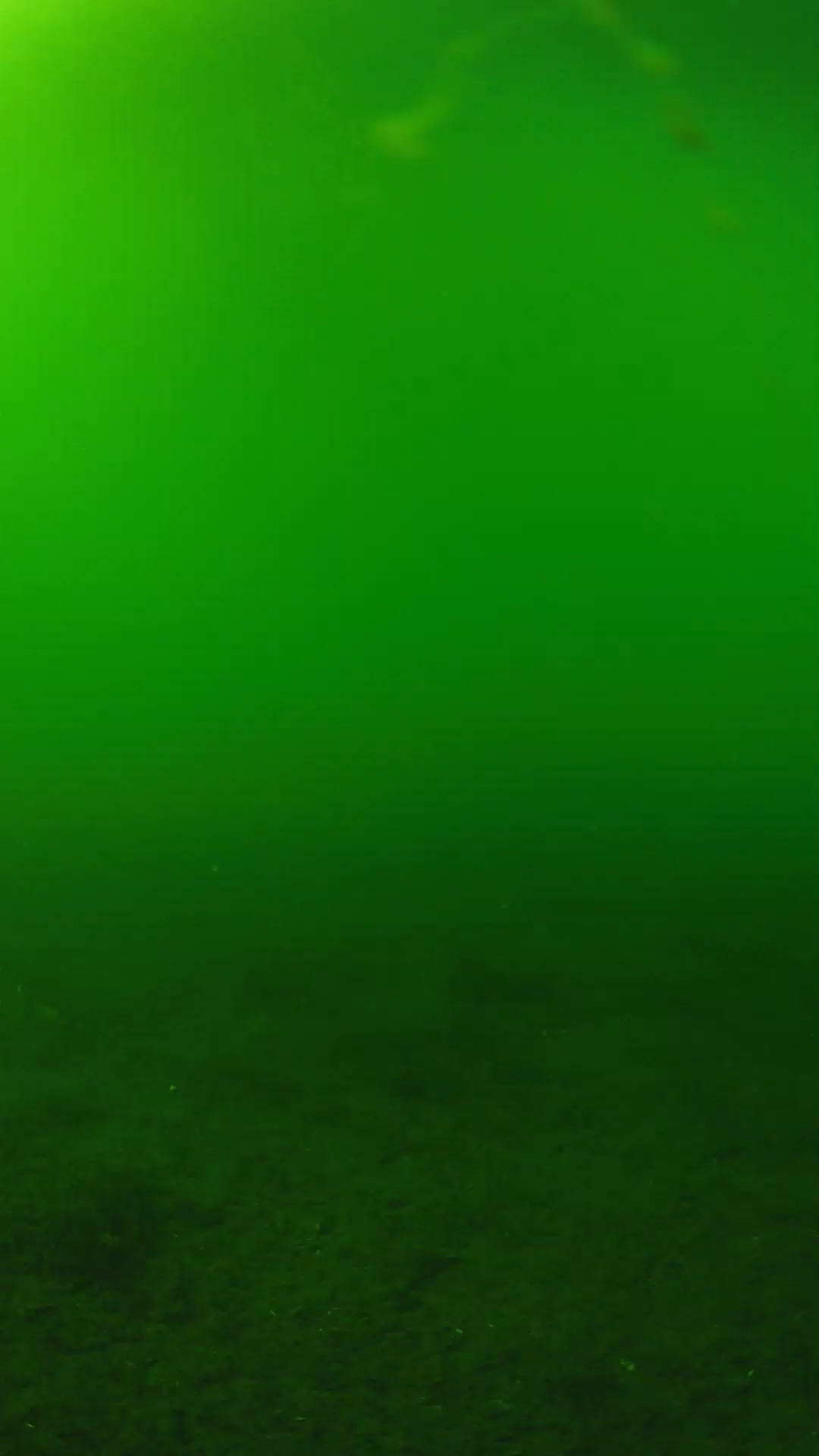 lander_ipcam_20240620160552.png