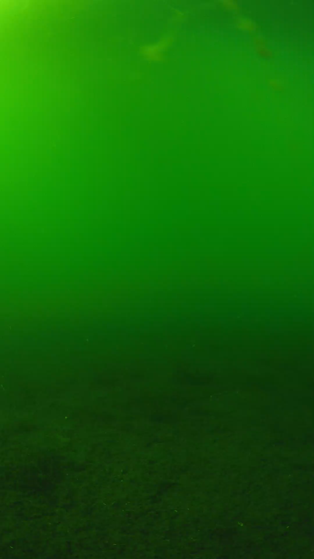 lander_ipcam_20240620160554.png