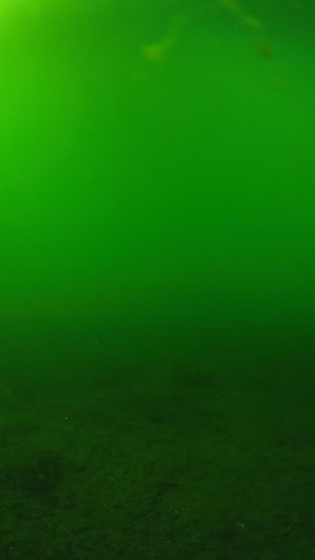 lander_ipcam_20240620160555.png