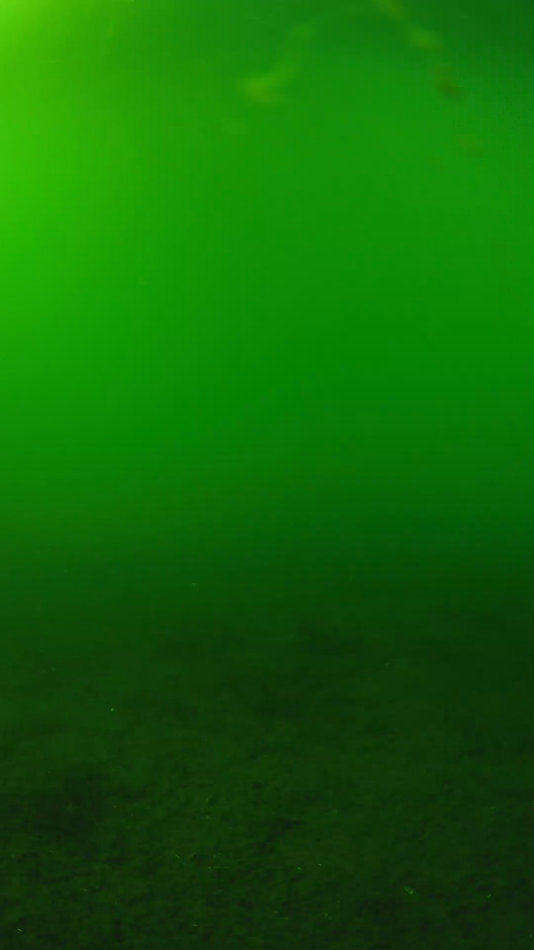 lander_ipcam_20240620160557.png