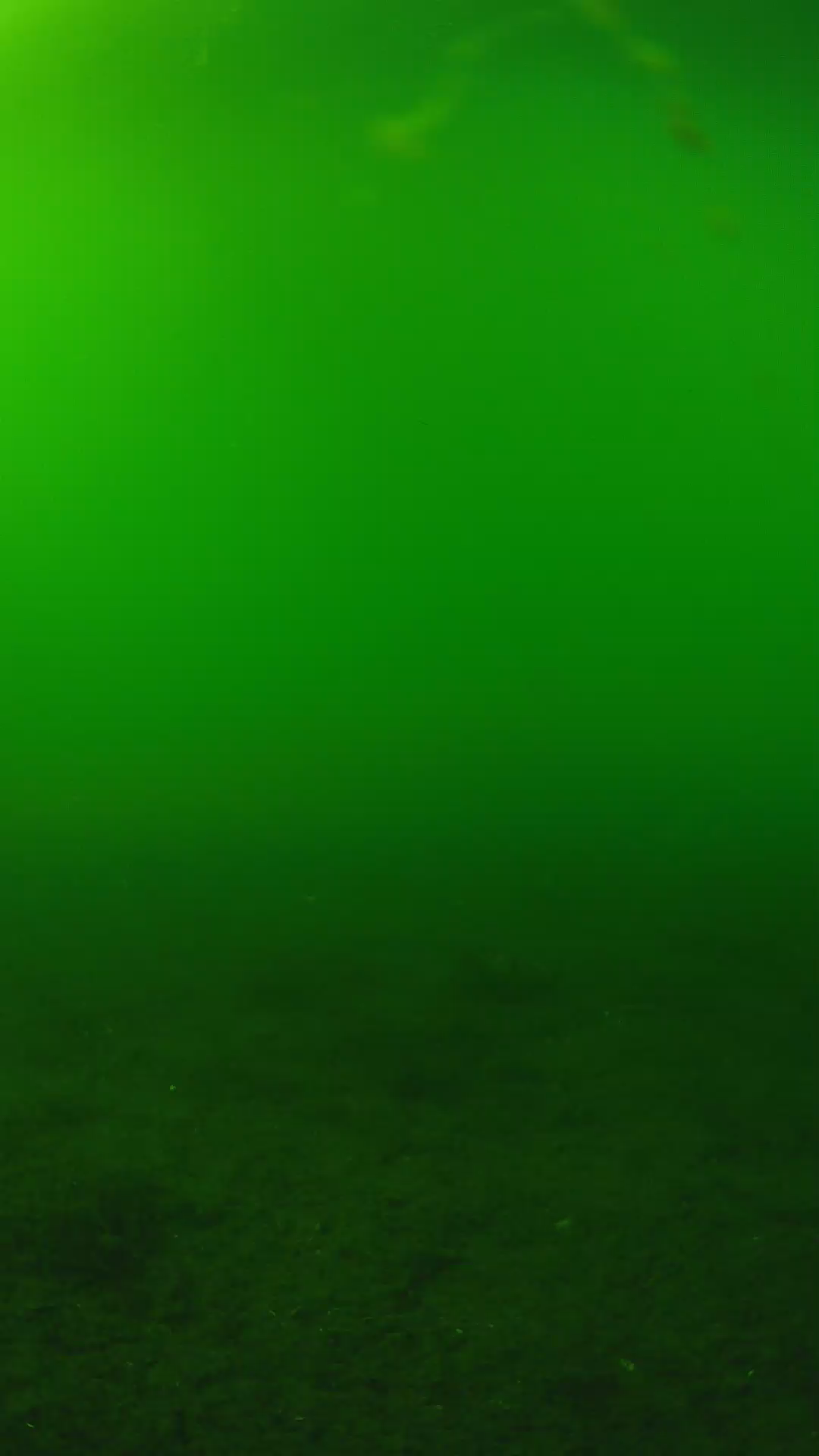 lander_ipcam_20240620160558.png
