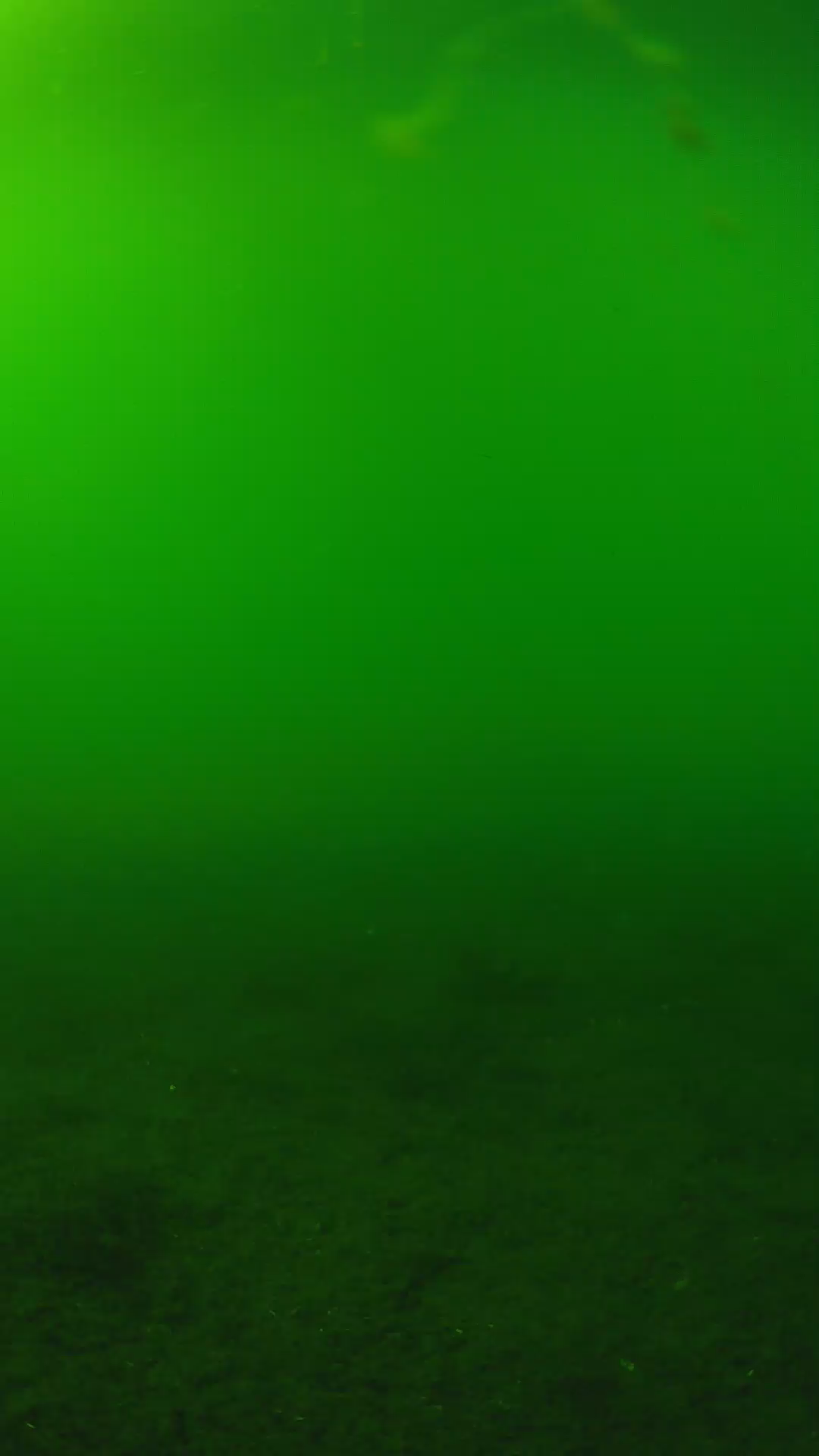 lander_ipcam_20240620160601.png